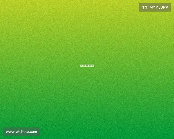 中国男篮蓝队录像回放