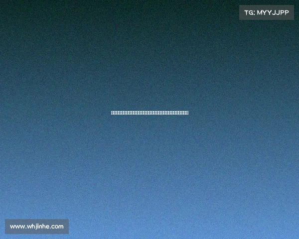 何冰娇二零二四巴黎奥运会羽毛球女单奋勇拼搏晋级八强展现顽强斗志