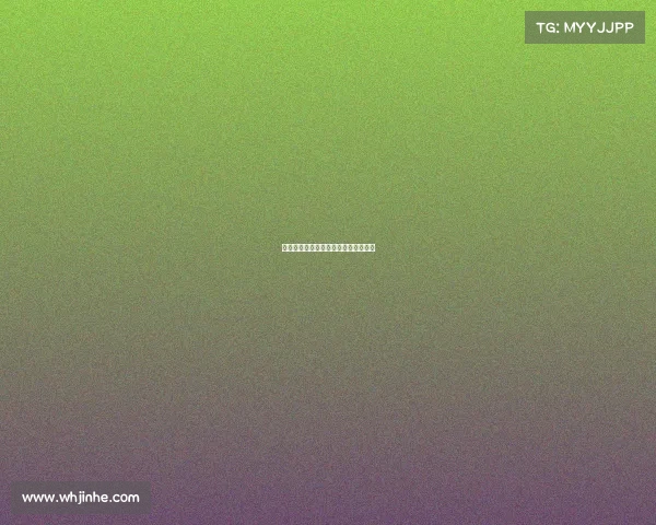 加强赛事安保意义—赛事安全保障方案