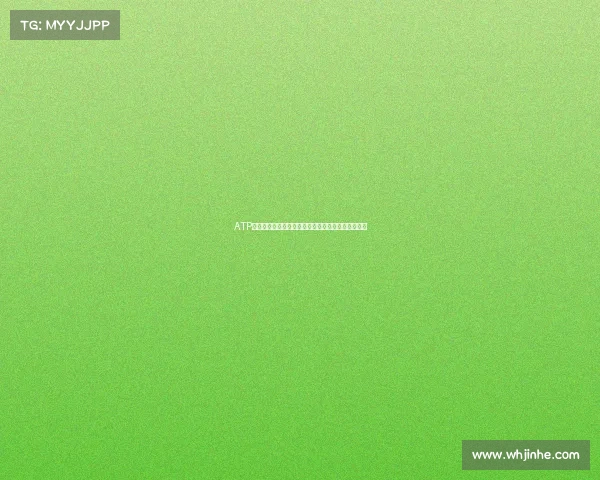 ATP大师赛全球巡回巅峰对决顶尖网球巨星争夺荣耀之战